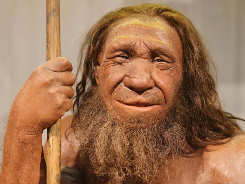 ¿Por qué se extinguieron los neandertales?